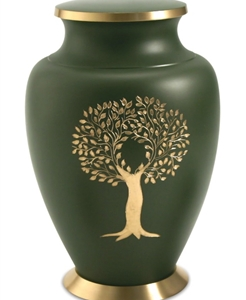 Golden Tree Cypress Green