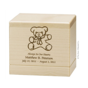 Infant Bear