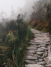 marc dooley