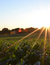 aaron thomas